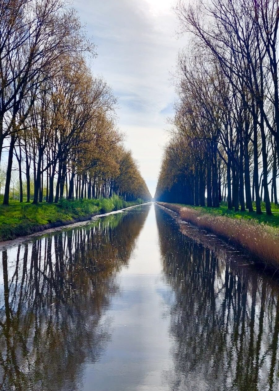 Der schnurgerade Kanal von Damme mit Baumreihen, die sich im Wasser spiegeln